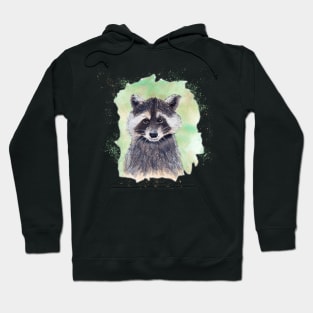 Raccoon in Ink and Watercolor Hoodie